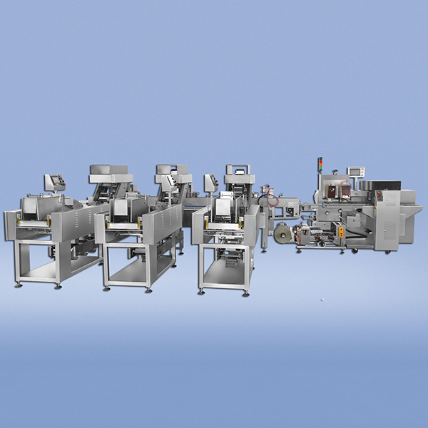 Video of reciprocating three-dimensional bag packing machine